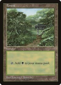 Forest - Clear Pack (Beard, Jr.) - APAC Lands - Magic: The Gathering card