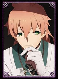 Bushiroad Sleeve Collection HG Vol.2504: Fate/Grand Order - Romani (60-Pack) - Bushiroad Card Sleeves - Card Sleeves card
