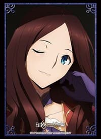 Bushiroad Sleeve Collection HG Vol.2505: Fate/Grand Order - Da Vinci (60-Pack) - Bushiroad Card Sleeves - Card Sleeves card