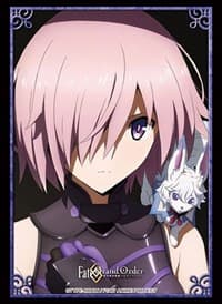 Bushiroad Sleeve Collection HG Vol.2503: Fate/Grand Order - Mash (60-Pack) - Bushiroad Card Sleeves - Card Sleeves card