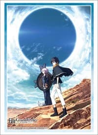 Bushiroad Sleeve Collection HG Vol.2428: Fate/Grand Order - Key Visual Part.1 (60-Pack) - Bushiroad Card Sleeves - Card Sleeves card