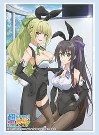 Bushiroad Sleeve Collection HG Vol.2446: High School Prodigies Have It Easy Even In Another World - Keine & Aoi (60-Pack) - Bushiroad Card Sleeves - Card Sleeves card