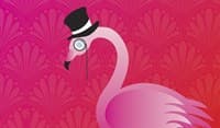 Rubber Playmat - Flamingo - Legion Premium Supplies Playmats - Playmats card