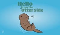 Rubber Playmat - Otter - Legion Premium Supplies Playmats - Playmats card