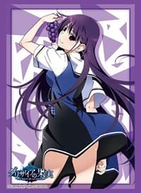 Bushiroad Sleeve Collection HG Vol.2529: The Fruit of Grisaia - Yumiko Sakaki (60-Pack) - Bushiroad Card Sleeves - Card Sleeves card