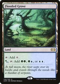 Flooded Grove - Double Masters - Magic: The Gathering card