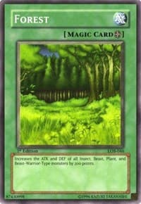 Forest - The Legend of Blue Eyes White Dragon - YuGiOh card