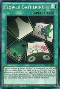 Flower Gathering - Dragons of Legend: The Complete Series - YuGiOh card