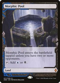 Morphic Pool - Zendikar Rising Expeditions - Magic: The Gathering card