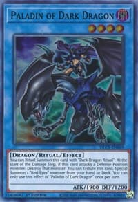 Paladin of Dark Dragon (Green) - Dragons of Legend: The Complete Series - YuGiOh card