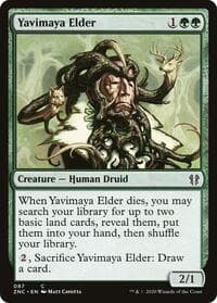 Yavimaya Elder - Commander: Zendikar Rising - Magic: The Gathering card