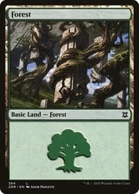 Forest - Zendikar Rising - Magic: The Gathering card