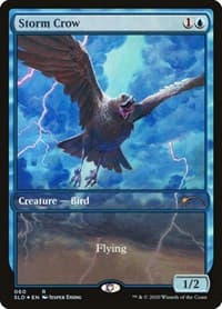 Storm Crow - Secret Lair Drop Series - Magic: The Gathering card