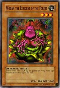 Wodan the Resident of the Forest - Tournament Pack 1 - YuGiOh card