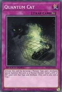 Quantum Cat - Speed Duel: Battle City Box - YuGiOh card