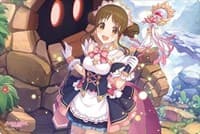 Bushiroad Rubber Mat Collection Vol.748: Princess Connect! Re:Dive - Suzume - Bushiroad Playmats - Playmats card