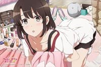 Bushiroad Rubber Mat Collection Vol.740: Saekano: How to Raise a Boring Girlfriend Flat - Megumi Kato - Bushiroad Playmats - Playmats card