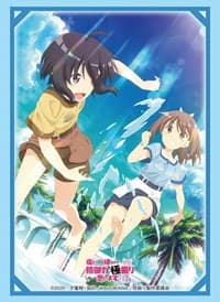 Bushiroad Sleeve Collection HG Vol.2642: BOFURI - Maple & Sally (60-Pack) - Bushiroad Card Sleeves - Card Sleeves card