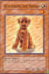 Outstanding Dog Marron - Dark Crisis - YuGiOh card