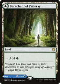 Barkchannel Pathway - Kaldheim - Magic: The Gathering card
