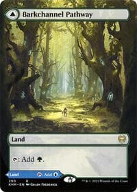 Barkchannel Pathway (Borderless) - Kaldheim - Magic: The Gathering card