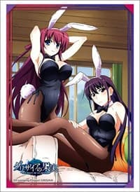 Bushiroad Sleeve Collection HG Vol.2682: The Fruit of Grisaia - Yumiko & Amane (60-Pack) - Bushiroad Card Sleeves - Card Sleeves card