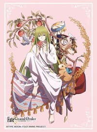 Bushiroad Sleeve Collection HG Vol.2666: Fate/Grand Order - Gilgamesh & Enkidu (60-Pack) - Bushiroad Card Sleeves - Card Sleeves card