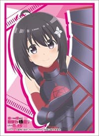 Bushiroad Sleeve Collection HG Vol.2698: BOFURI - Teaser Visual ver. (60-Pack) - Bushiroad Card Sleeves - Card Sleeves card