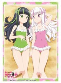 Bushiroad Sleeve Collection HG Vol.2702: BOFURI - Mai & Yui Swimsuit ver. (60-Pack) - Bushiroad Card Sleeves - Card Sleeves card