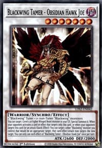 Blackwing Tamer - Obsidian Hawk Joe - Legendary Duelists: Season 2 - YuGiOh card