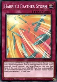 Harpie's Feather Storm - Legendary Duelists: Season 2 - YuGiOh card