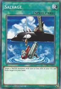 Salvage - Structure Deck: Freezing Chains - YuGiOh card