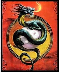 Protector of the Wudang Card Sleeves - Standard (50-Pack) - Max Protection Card Sleeves - Card Sleeves card