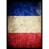 France Flag Card Sleeves - Standard (50-Pack) - Max Protection Card Sleeves - Card Sleeves card