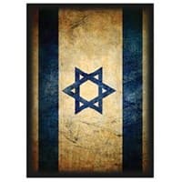 Israel Flag Card Sleeves - Standard (50-Pack) - Max Protection Card Sleeves - Card Sleeves card