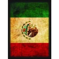 Mexico Flag Card Sleeves - Standard (50-Pack) - Max Protection Card Sleeves - Card Sleeves card