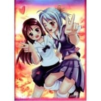 School Girls Max Gloss Holo Card Sleeves - Standard (50-Pack) - Max Protection Card Sleeves - Card Sleeves card