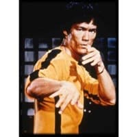 Bruce Lee Card Sleeves - Small (60-Pack) - Max Protection Card Sleeves - Card Sleeves card