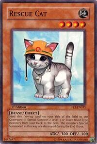 Rescue Cat - Flaming Eternity - YuGiOh card