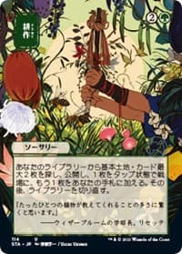 Cultivate (JP Alternate Art) - Strixhaven: Mystical Archive - Magic: The Gathering card