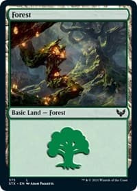 Forest (375) - Strixhaven: School of Mages - Magic: The Gathering card