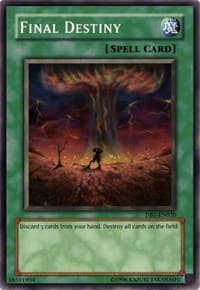 Final Destiny - Dark Beginning 1 - YuGiOh card