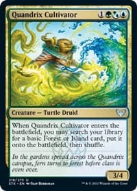 Quandrix Cultivator - Strixhaven: School of Mages - Magic: The Gathering card