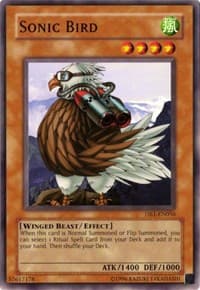 Sonic Bird - Dark Beginning 1 - YuGiOh card