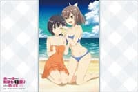 Bushiroad Rubber Mat Collection Vol.797: BOFURI - Maple & Sally Swimsuit ver - Bushiroad Playmats - Playmats card