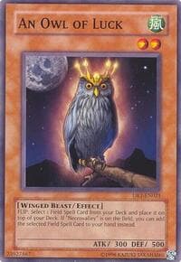 An Owl of Luck - Dark Revelation Volume 1 - YuGiOh card