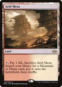 Arid Mesa - Modern Horizons 2 - Magic: The Gathering card