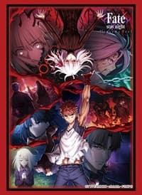 Bushiroad Sleeve Collection HG Vol.2769: Fate/stay night [Heaven's Feel] - Chapter 3 Vol.2 Key Visual (60-Pack) - Bushiroad Card Sleeves - Card Sleeves card