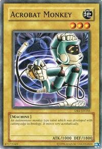 Acrobat Monkey - Dark Revelation Volume 1 - YuGiOh card