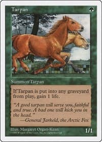 Tarpan - Fifth Edition - Magic: The Gathering card